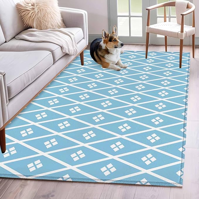 Area Rug 3x5ft, Boho Blue White Plaid Line Washable Rugs for Living Room Bedroom, Abstract Geometric Diamond Soft Non-Slip Area Rugs Rectangle Floor Carpet for Dining Room