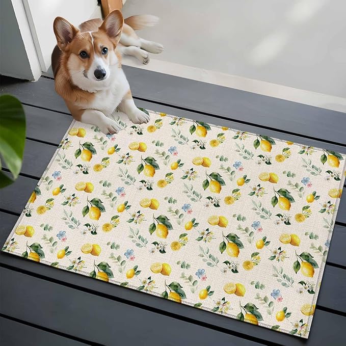 Area Rug 2x3ft, Country Lemon Flower Leaf Washable Rugs for Living Room Bedroom, Pastoral Fruit Plant Vintage Linen Soft Non-Slip Area Rugs Rectangle Floor Carpet for Dining Room