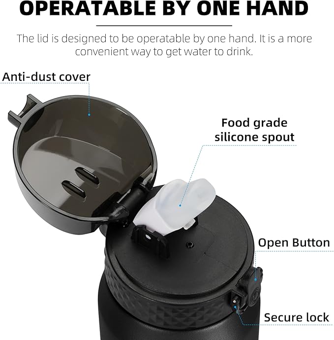 Fanhaw 24 oz Insulated Stainless Steel Water Bottle with Straw Lid, Leakproof & Anti-Dust Sports Bottle for Kids, Women & Men (Gray)