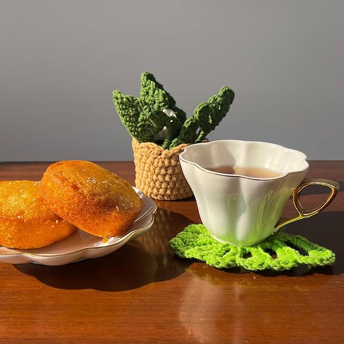 DICHA Monstera Crochet Coasters with Plant Pot-Container Beverage Coaster Sets with Holder Bar Coasters for Drinks Coffee Table Desk-Succulent Plant Pot Coaster-Set of 5