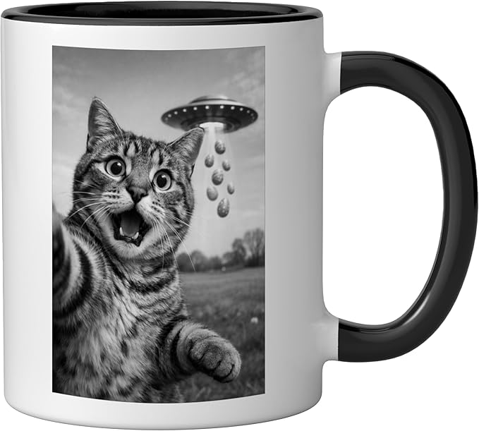 Funny Cat Selfie Easter Eggs Alien UFO Abduction Men Women Ceramic Mug, Black/White