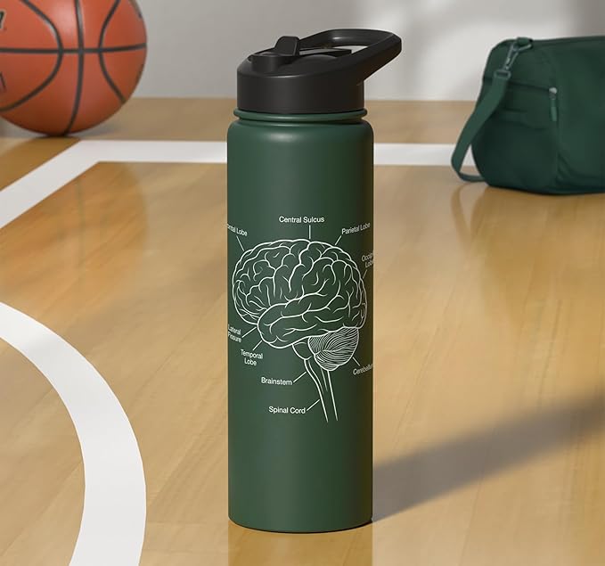 Neuroscience Human Brain Anatomy Labeled Diagram Stainless Steel Insulated Water Bottle