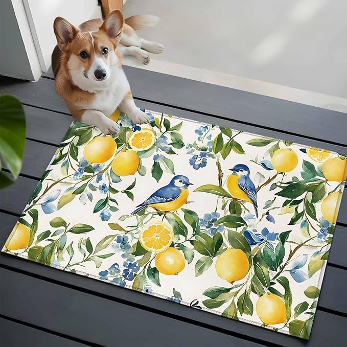 Area Rug 2x3ft, Pastoral Vintage Lemon Blue Bird Washable Rugs for Living Room Bedroom, Retro Yellow Fruit Flowers Soft Non-Slip Area Rugs Rectangle Floor Carpet for Dining Room