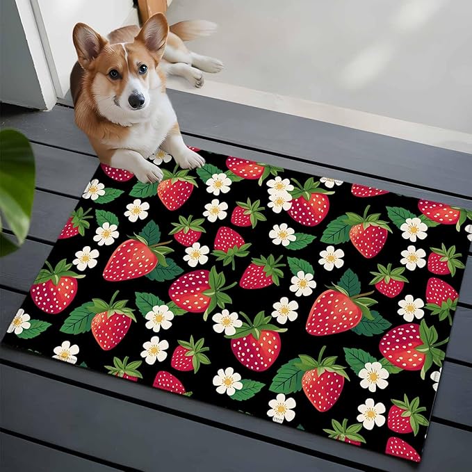 Area Rug 2x3ft, Red Strawberry Litter Flower Leaves on Black Washable Rugs for Living Room Bedroom, Summer Fruit Soft Non-Slip Area Rugs Rectangle Floor Carpet for Dining Room