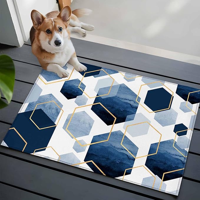 Area Rug 2x3ft, Watercolor Blue Hexagon Washable Rugs for Living Room Bedroom, Abstract Geometric Art Soft Non-Slip Area Rugs Rectangle Floor Carpet for Dining Room