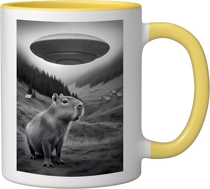 Vintage Capybara UFO Abduction Surreal Ironic Meme Ceramic Mug, Yellow/White