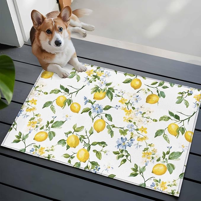 Area Rug 2x3ft, Summer Watercolor Lemon Flower Washable Rugs for Living Room Bedroom, Spring Farm Fruit Green Leaf Soft Non-Slip Area Rugs Rectangle Floor Carpet for Dining Room