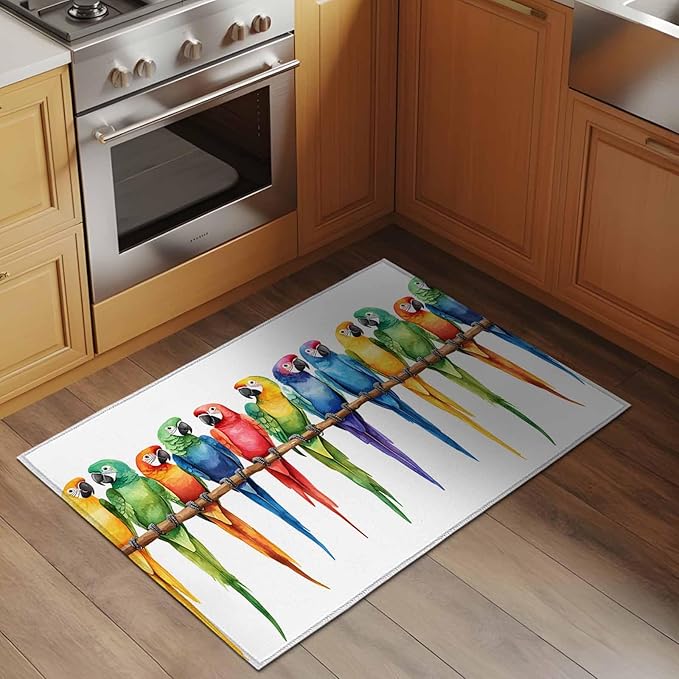 Area Rug 2x3ft, Funny Watercolor Parrot Washable Rugs for Living Room Bedroom, Red Green Blue Gradient Bird Soft Non-Slip Area Rugs Rectangle Floor Carpet for Dining Room