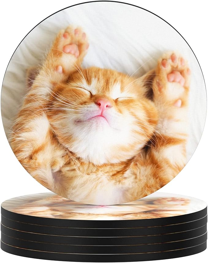 Nipichsha Coasters for Drinks, Set of 6 Cute Absorbent Rubber Drink Coasters for Cup with Non Slip Backing, Kitchen Home Decor Housewarming Gift, Round 4 in, Cute Cat