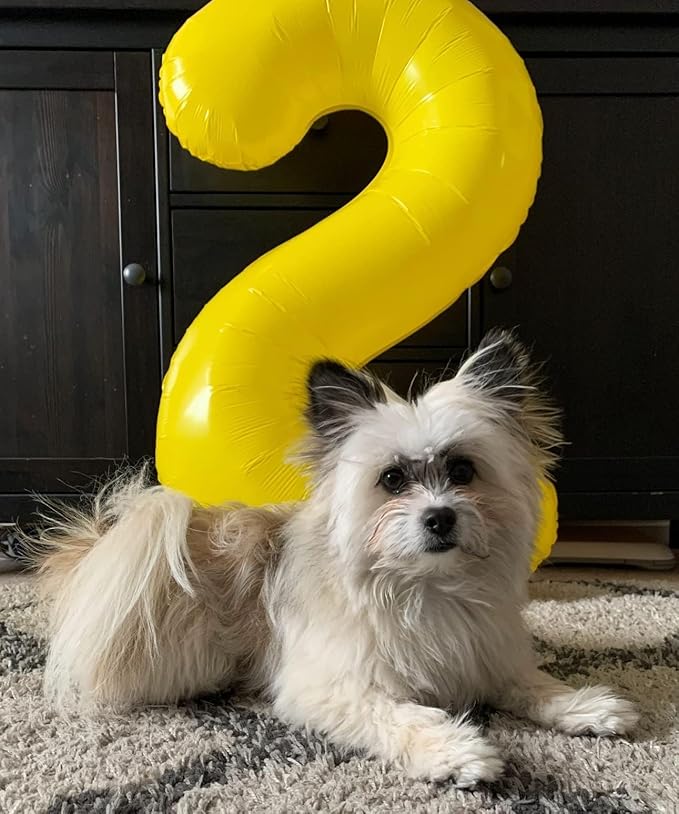 Birthday Balloons Numbers, Balloons 2 Number for Babies Puppies, Yellow Balloon Number for 2, 12, 22, 2025 Graduation Party Wedding Baby Shower New Year