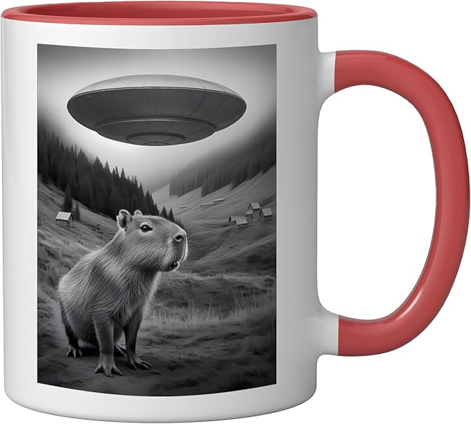 Vintage Capybara UFO Abduction Surreal Ironic Meme Ceramic Mug, Red/White