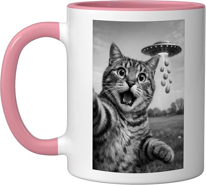 Funny Cat Selfie Easter Eggs Alien UFO Abduction Men Women Ceramic Mug, Pink/White
