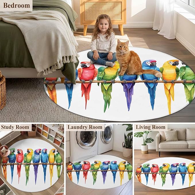 Washable Round Area Rug Funny Watercolor Parrot Circle Rugs Floor Carpet for Living Room Bedroom, Red Green Blue Gradient Bird Soft Non Slip Round Rug 3ft