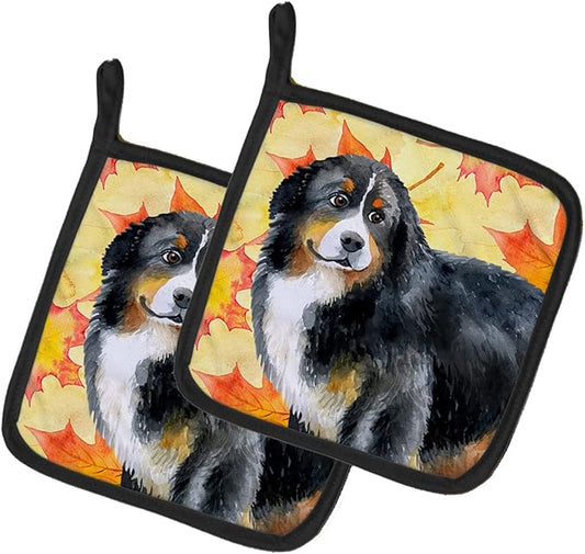 Caroline's Treasures BB9906PTHD Bernese Mountain Dog Fall Pair of Pot Holders, Yellow Kitchen Heat Resistant Pot Holders Sets Oven Hot Pads for Cooking Baking BBQ, 7 1/2 x 7 1/2
