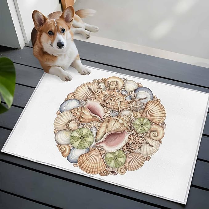 Area Rug 2x3ft, Coastal Colorful Shell Conch Washable Rugs for Living Room Bedroom, Modern Abstract Art Soft Non-Slip Area Rugs Rectangle Floor Carpet for Dining Room
