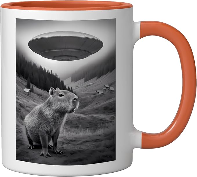 Vintage Capybara UFO Abduction Surreal Ironic Meme Ceramic Mug, Orange/White