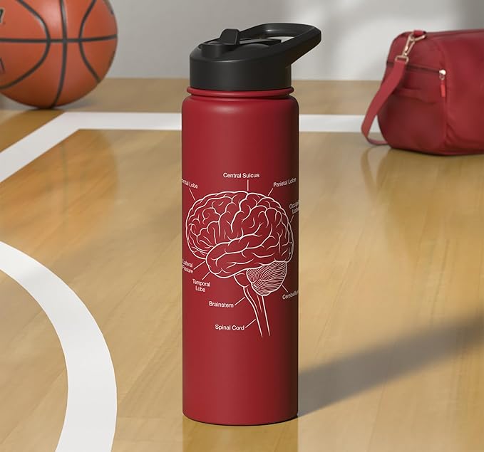 Neuroscience Human Brain Anatomy Labeled Diagram Stainless Steel Insulated Water Bottle