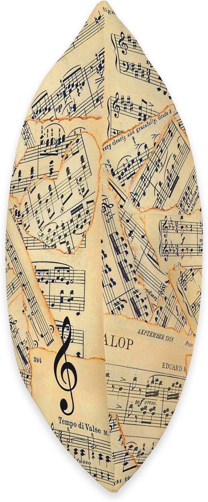 Sheet Music Pattern Musician Instructor Throw Pillow