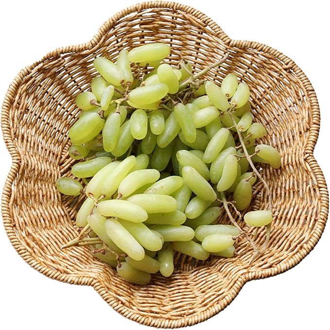 Generic Wicker Round Basket, Scalloped Serving Tray, Oval, Natural, Polypropylene, for Coffee Table Organizing