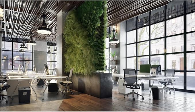 Generic SOL MAR White Coated Round Wire Basket 6 Pack - Versatile Metal Wire Baskets Centerpieces Floral Arrangements Everyday Decor Office School Classroom Garden Summer Bonus Item Jested
