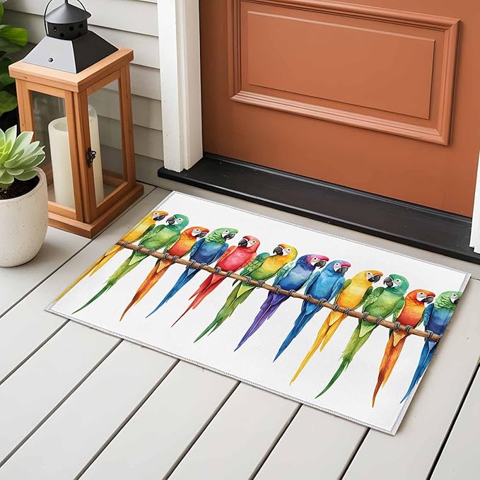Area Rug 2x3ft, Funny Watercolor Parrot Washable Rugs for Living Room Bedroom, Red Green Blue Gradient Bird Soft Non-Slip Area Rugs Rectangle Floor Carpet for Dining Room