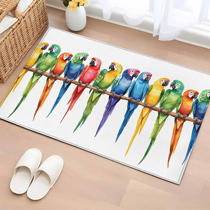 Area Rug 2x3ft, Funny Watercolor Parrot Washable Rugs for Living Room Bedroom, Red Green Blue Gradient Bird Soft Non-Slip Area Rugs Rectangle Floor Carpet for Dining Room