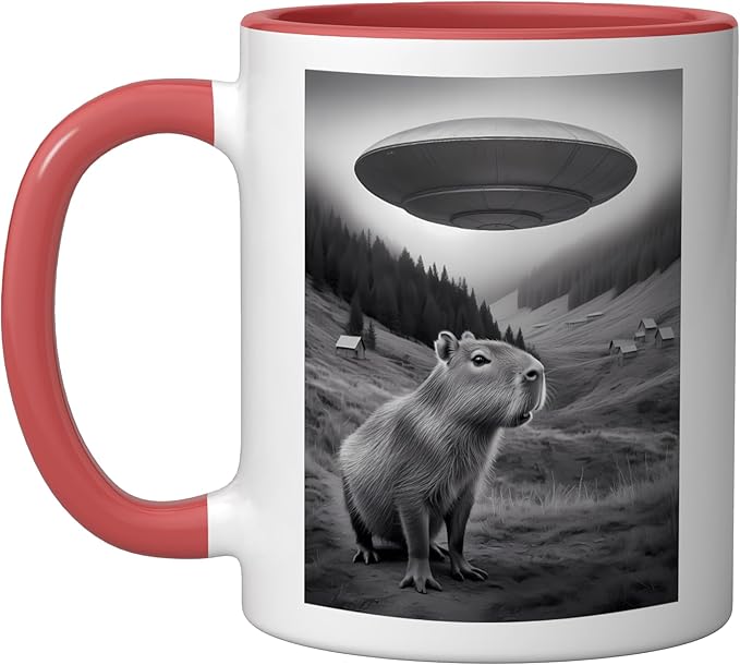 Vintage Capybara UFO Abduction Surreal Ironic Meme Ceramic Mug, Red/White