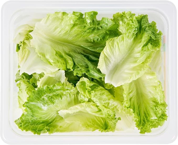Restaurantware Food Storage Container 10 Pack of 12.7 x 10.3 x 3.9 Inches Plastic Stackable Storage Box White Reusable Label Container Dishwasher Safe For Restaurants And Kitchens