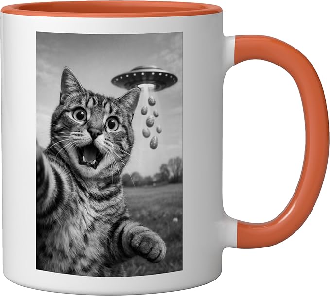 Funny Cat Selfie Easter Eggs Alien UFO Abduction Men Women Ceramic Mug, Orange/White