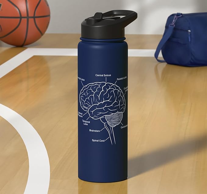 Neuroscience Human Brain Anatomy Labeled Diagram Stainless Steel Insulated Water Bottle