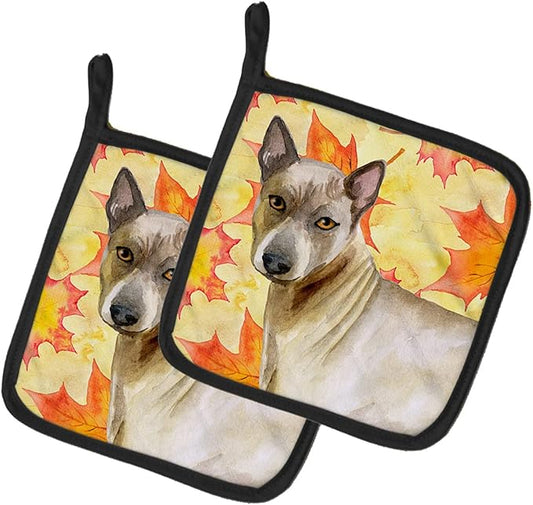 Caroline's Treasures BB9941PTHD Thai Ridgeback Fall Pair of Pot Holders, Yellow Kitchen Heat Resistant Pot Holders Sets Oven Hot Pads for Cooking Baking BBQ, 7 1/2 x 7 1/2