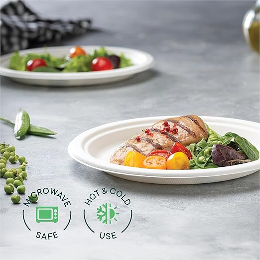 100% Compostable Paper Plates 9 Inch [500 Count] Heavy-Duty Dinner Plates - White Bagasse - Eco-Friendly Disposable Biodegradable Sugarcane Plates - [Bulk Case 4 x 125 Pack] - (BPI Certified)
