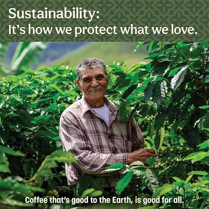 Don Francisco's Cinnamon Hazelnut Ground Flavored Coffee: Rich, Aromatic 100% Arabica Blend - Medium Roast for a Delightful Morning Brew (3 x 10 oz Cans)