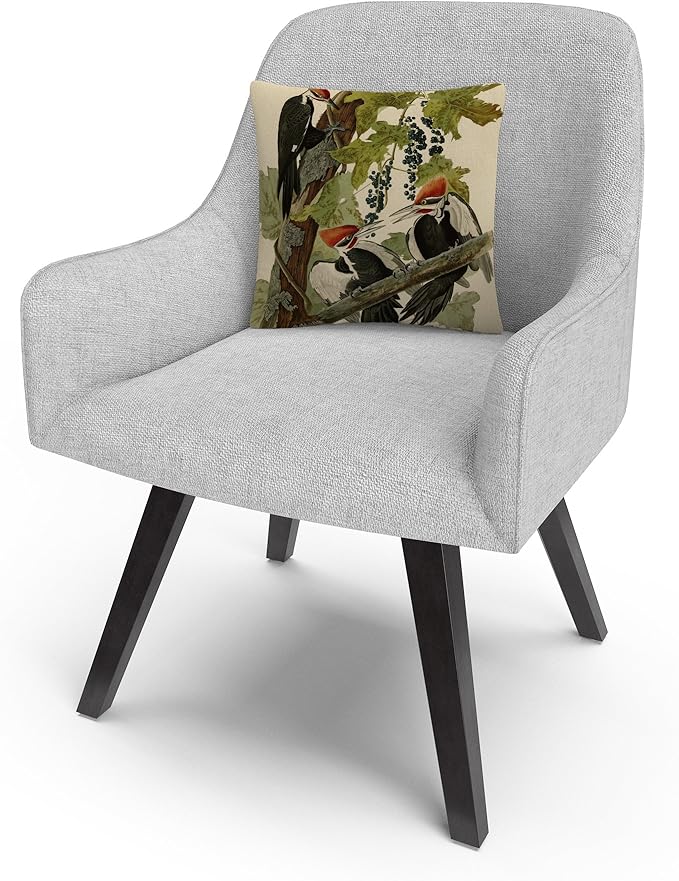 Trademark Fine Art BL01290-PIL1616 John James Audubon 'Pileated Woodpeckers' Decorative Throw Pillow, 16" x 16", Multicolor