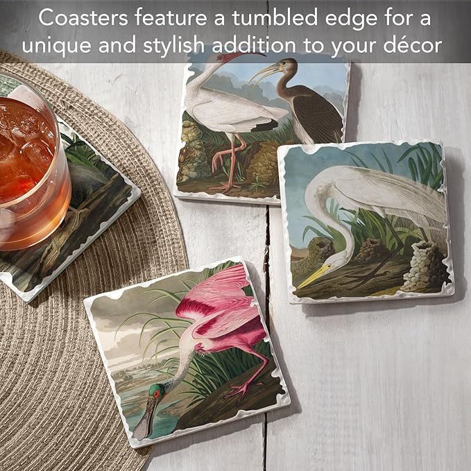 Thirstystone James John Adubon 4 Pack Assorted Tumbled Tile Stone Coasters with Protective Cork Backing Manufactured in The USA Absorbent Easily Wipes Clean