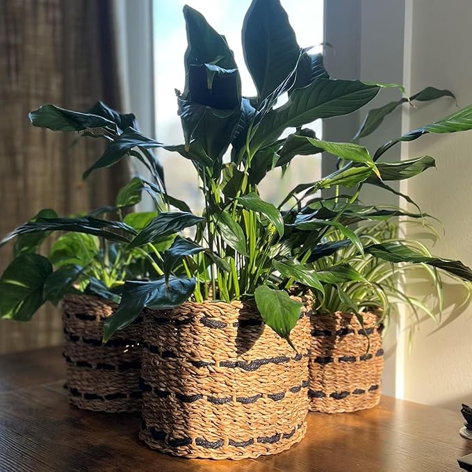WHW Whole House Worlds Black Striped Seagrass and Jute Baskets, Round, Natural Chunky Sweater Weave, Set of 3, Made by Hand, from 9.75, 8.25, and 6.75 D Inches
