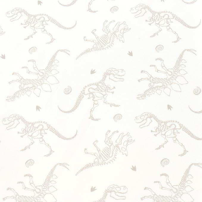 Northwest Classics Twin Sized Dino Discovery Glow-in-The-Dark 6-Piece Bed in a Bag Set, All Seasons Bedding for Girls and Boys, Comforter, Flat Sheet, Fitted Sheet, Pillowcase, Pillow, Sham