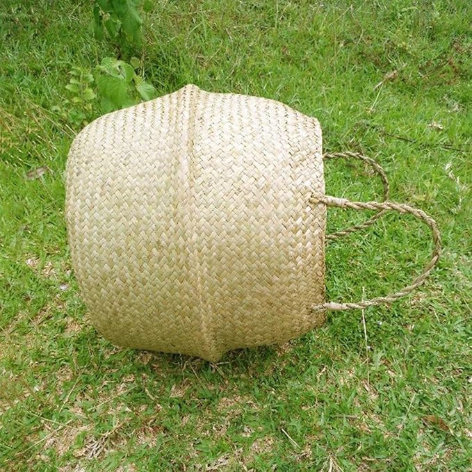 Portable Seagrass Woven Plant Vase Storage Basket with Handle for Home Decor Stylish Hand Basket for Indoor Plants Organizing and Decorative Storage