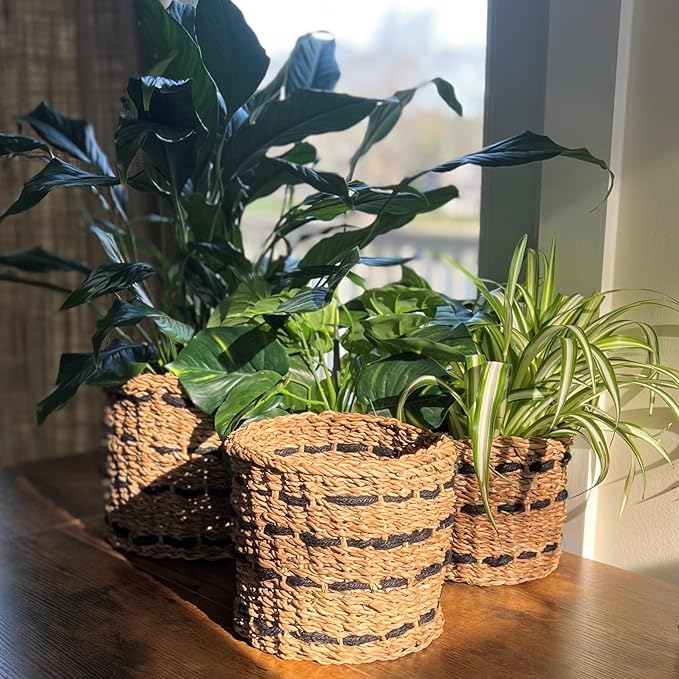 WHW Whole House Worlds Black Striped Seagrass and Jute Baskets, Round, Natural Chunky Sweater Weave, Set of 3, Made by Hand, from 9.75, 8.25, and 6.75 D Inches