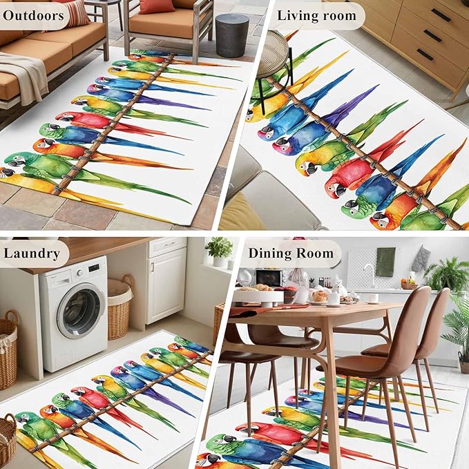 Area Rug 4x6ft, Funny Watercolor Parrot Washable Rugs for Living Room Bedroom, Red Green Blue Gradient Bird Soft Non-Slip Area Rugs Rectangle Floor Carpet for Dining Room