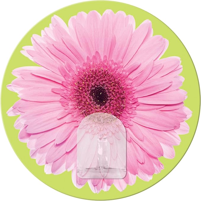 RoomMates RMK2031HK Daisy Magic Peel and Stick Hook