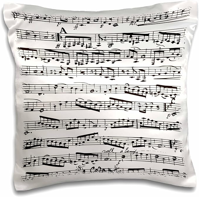 3dRose pc_203236_1 Musical Notes Sheet Music Piano Notation Black and White Pillow Case, 16" x 16"