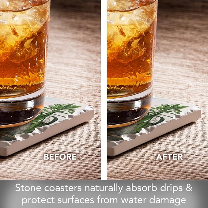 Thirstystone James John Adubon 4 Pack Assorted Tumbled Tile Stone Coasters with Protective Cork Backing Manufactured in The USA Absorbent Easily Wipes Clean