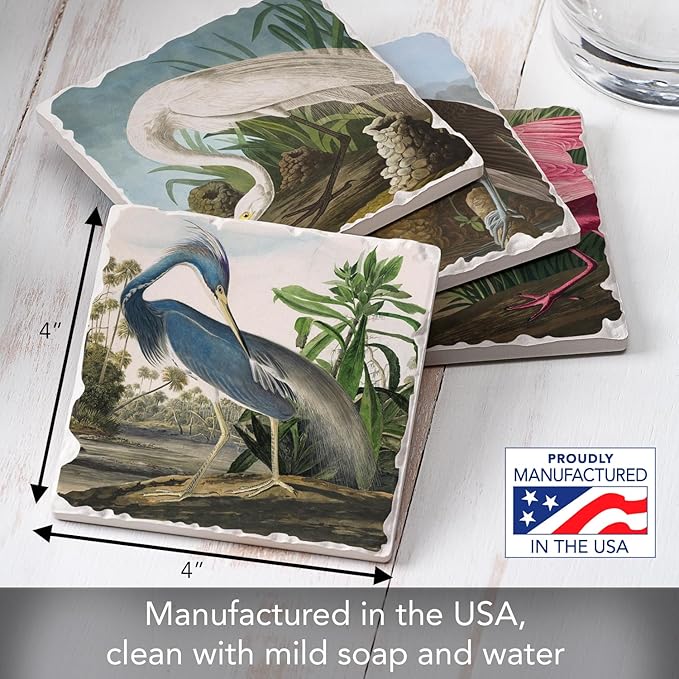 Thirstystone James John Adubon 4 Pack Assorted Tumbled Tile Stone Coasters with Protective Cork Backing Manufactured in The USA Absorbent Easily Wipes Clean