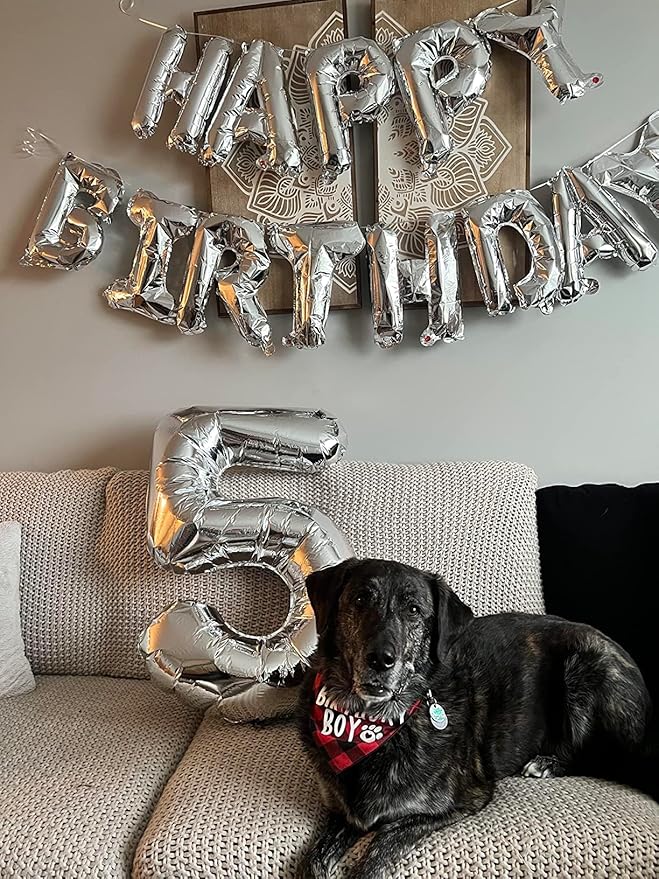Balloons Number 5, Silver Balloon Numbers for Girls Boys 40 Inch Happy Birthday Decorations for 5 15 25 2025 Graduation Wedding Anniversaries