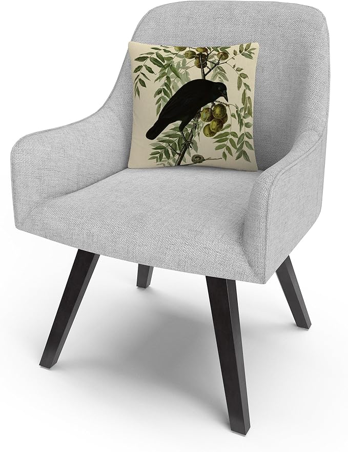 Trademark Fine Art BL01255-PIL1616 John James Audubon 'American Crow' Decorative Throw Pillow, 16" x 16", Multicolor