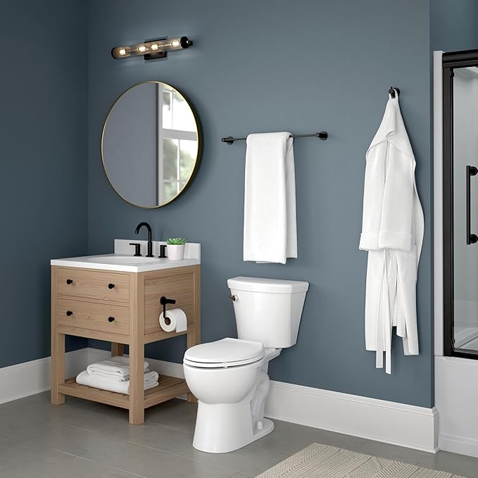 Franklin Brass Kildare (1-Pack) Toilet Paper Holder, Euro Single Post Tissue Roll Wall Mount TP Storage, Matte Black Bathroom Decor, Accessories KLD50-MB