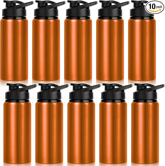 10 Pack Water Bottles Bulk, 20oz Sports Aluminum Water Bottle with Snap Lids Metal Reusable Leak proof Personalized Bottle for Travel Camping Gym Hiking Fishing (Orange)