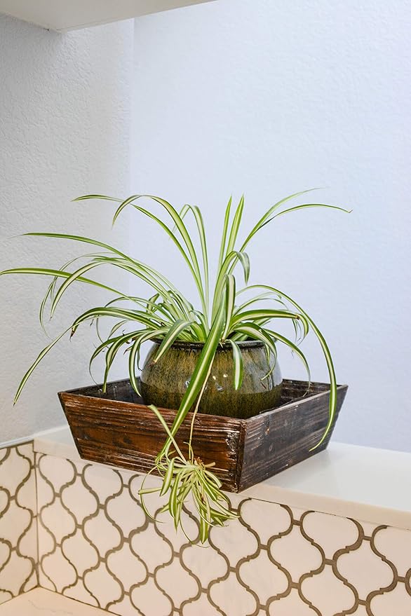Admired By Nature Wooden Rustic Tray Box - for Plants, Home Decor, Organization, Storage, Table Decor, Kitchens, Indoor Outdoor - Stained Brown