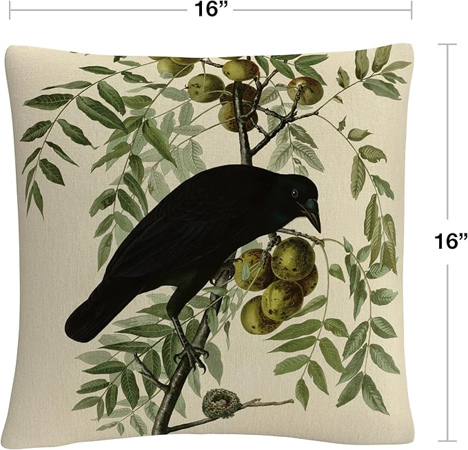 Trademark Fine Art BL01255-PIL1616 John James Audubon 'American Crow' Decorative Throw Pillow, 16" x 16", Multicolor
